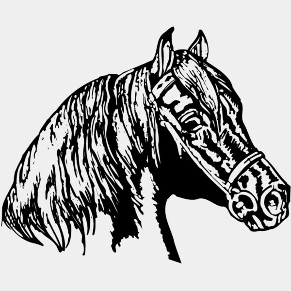 HORSE002 Thumbnail